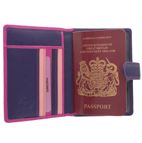 Visconti Rainbow Collection Leather SUMBA Passport Holder RB75 RFID blocking